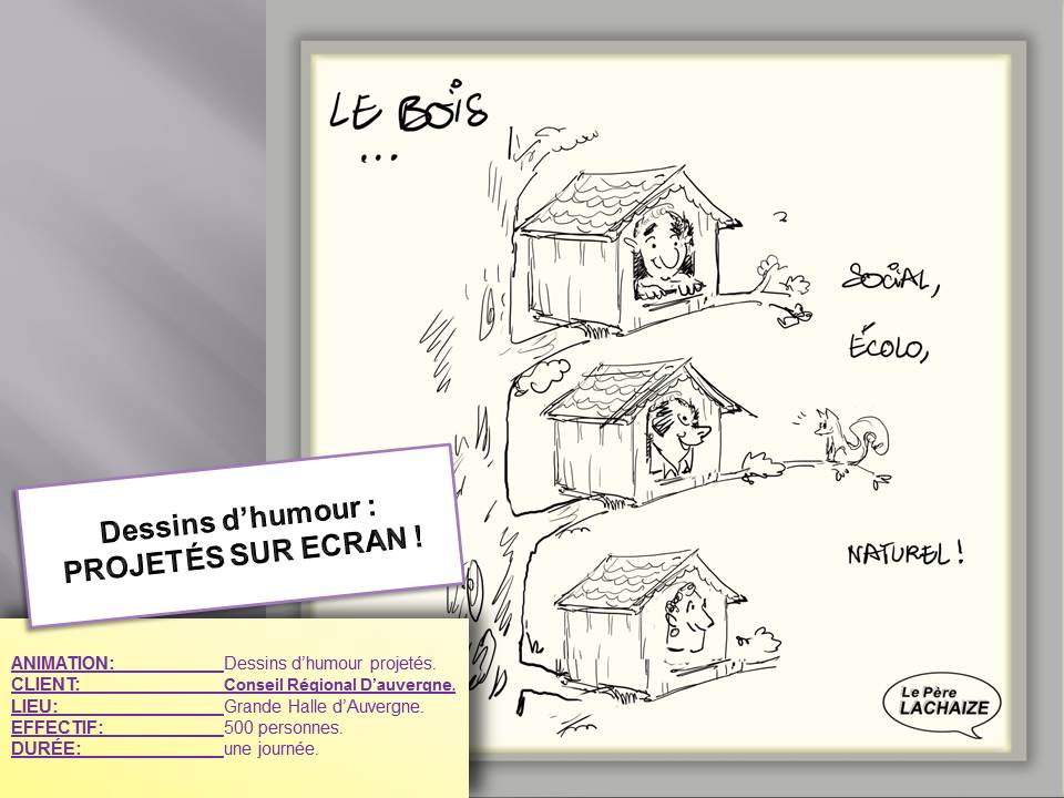 dessin_humour_projete_transition-energetique_le-bois